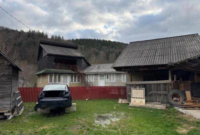 Casă cu 4 camere cu Teren 3100 Mp în Câmpuri - 2