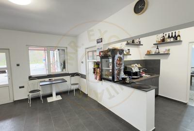 Afacere la cheie-Spalatorie, Vulcanizare Auto, Lac Agrement-Loc.Tasnad Jud. SM - 5