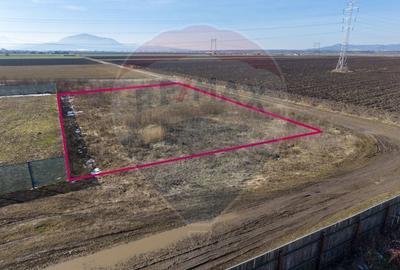 Teren Construcții intravilan de 1007 mp, în Hălchiu - 9