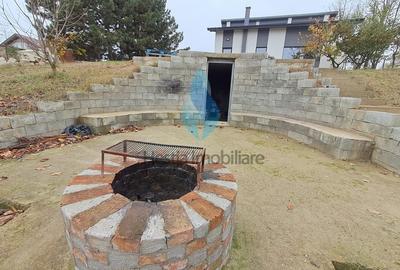 Vila eleganta P+M si 1500mp teren, Hlincea. - 8