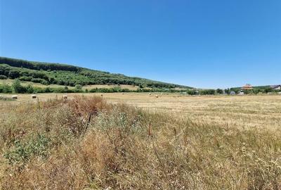RECO parcele Betfia - 4
