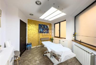 Piata Victoriei | 7 Camere | Metrou 4 '| Vila Individuala - 10