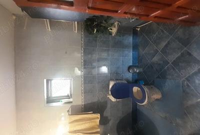 Casă cu 6 camere în Rovine - 2