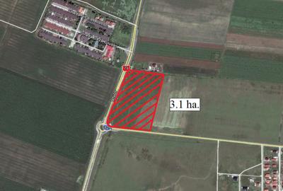 Teren de 31000 mp, în Central