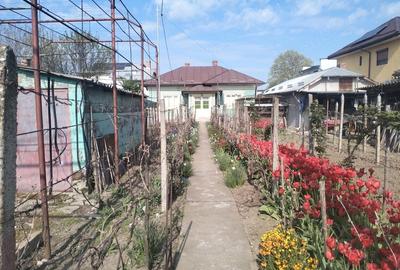 Casă cu Canalizare în Central - 7