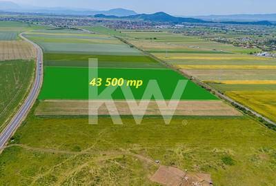 Teren de vanzare I 43 500 mp I Deschidere la drum - Harman - 1