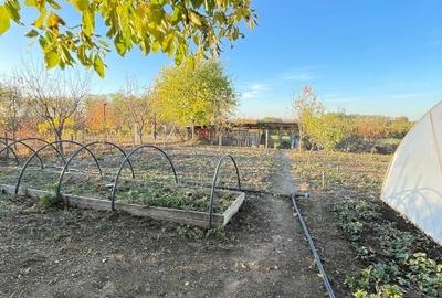 Casă de vânzare P+M - Proprietar - 5