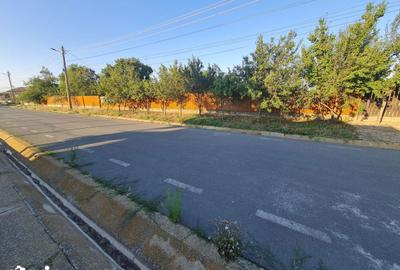 Casă cu 3 camere cu Teren 3200 Mp în Ceamurlia de Jos