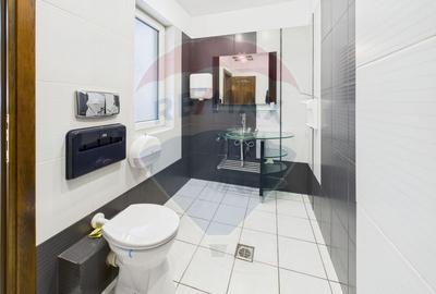 Apartament cu 5 camere decomandat, mobilat în Herăstrău - 15