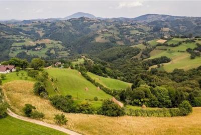 10.335 mp + imobil, splendoare si regasire in mijlocul naturii, Poiana Marului - 2