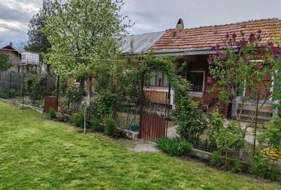 Teren cu casa batraneasca de vanzare - 1
