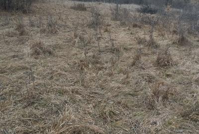 Spațiu comercial, în Pestișu Mic - 2