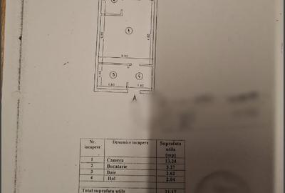 Garsonieră decomandată, mobilată în Alexandru cel Bun