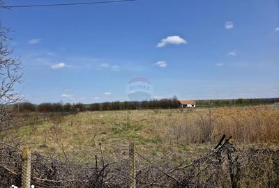 Teren de 7000 mp, în Girov - 6