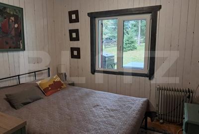 Cabana de vanzare in Marisel Cabana de vanzare in Marisel - 13