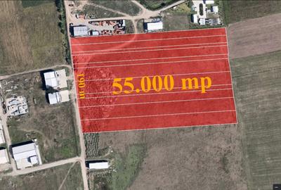 Teren Construcții intravilan de 10000 mp, în Nord-Vest - 4