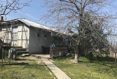 Casă cu Teren 300 Mp în Frumușița - 1