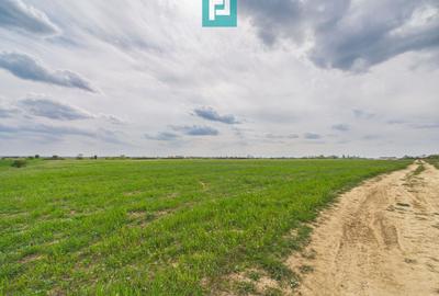 Teren agricol extravilan de 6150 mp, în Giroc - 3