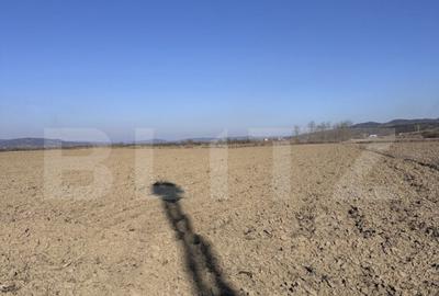 Teren extravilan 8.100 mp, zona Samarghita - 2