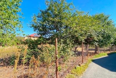 Teren parcerabil Bariera Valcii Proprietar - 4