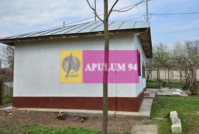 GIURGIU - COM. BUCSANI (SAT OBEDENI) CASA 2 CAM DE VANZARE - 12