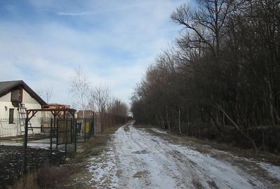 Domnesti-Teghes-Padure - 3