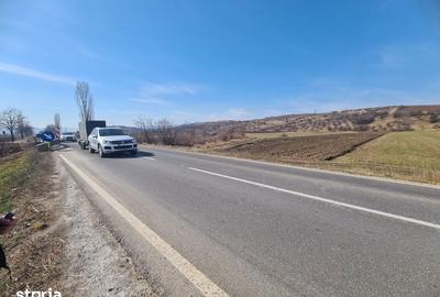 Teren de 4000 mp, în Măgirești - 1