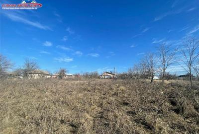 Casa de in localitatea Malcoci-judet Tulcea - 5