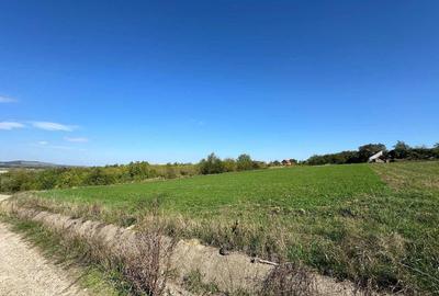 Teren de 4300 mp, în Adâncata - 8