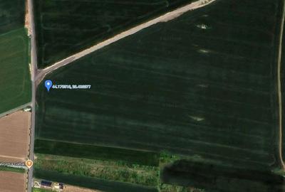 Teren de 5000 mp, în Valu lui Traian - 12