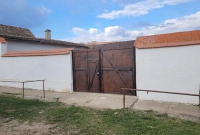 Teren de 7400 mp, în Jibert