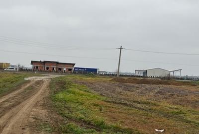 Teren intravilan 2000 mp-deschidere 27m la DJ200-Dascalu - 2