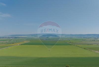 Teren industrial de vanzare DN13, Brasov - 2