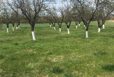 Casă cu 2 camere cu Teren 5200 Mp în Poienarii Burchii - 4