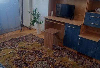 Apartament cu 1 camera, decomandat, ultracentral, in Re?i?a, de inchiriat, cu 200 euro - 2