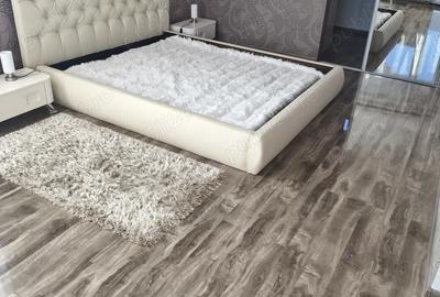 PROPIETAR super vila de vis Calea Timi?orii - 7