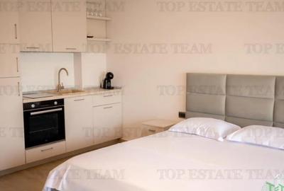 Garsonieră decomandată în Nord - 4