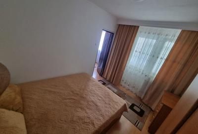 Apartament cu 2 camere semidecomandat în Banat - 6