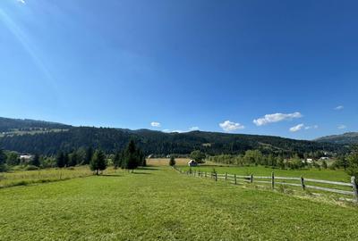 Vanzare 33400 parcelat- 18 loturi - Plaiul Sarului la sosea- microdezvoltare - 1