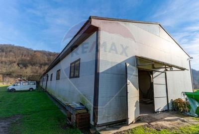 Spațiu industrial, de 650 mp, în Ribița - 2