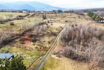 Spațiu comercial, în Cisnădioara - 2