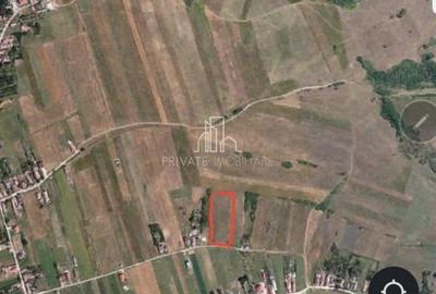 Spațiu comercial, în Albești