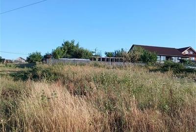 RECO Teren intravilan Sanmartin - 3