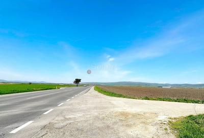 Teren Industrial - 10