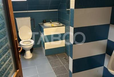 Cazare pentru muncitori 4 apartamente 20 de paturi Terezian Sibiu - 19