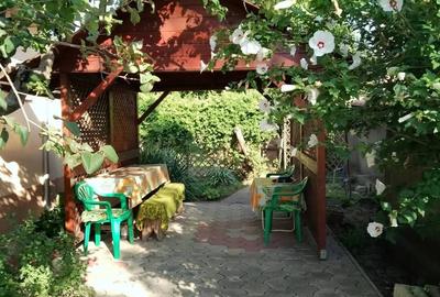 Vand casa + teren intravilan - 4