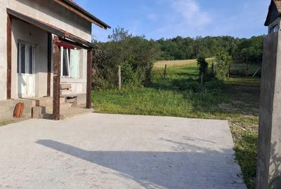 Casă cu 4 camere în Sânmihaiu Almașului