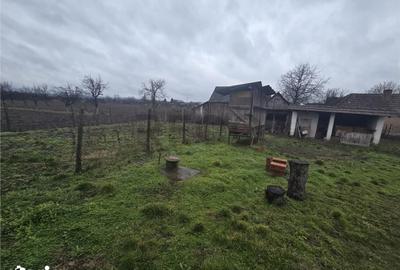 Casă cu 2 camere cu Teren 2685 Mp în Curtuișeni - 1