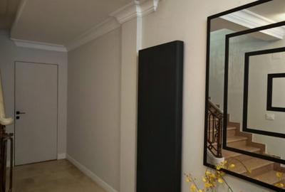 De inchiriat vila in zona Gradina Icoanei - 13