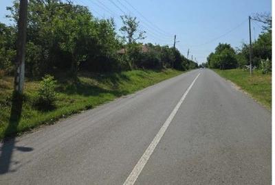 Casă cu 1 camere cu Teren 1200 Mp în Cucuruzu - 10